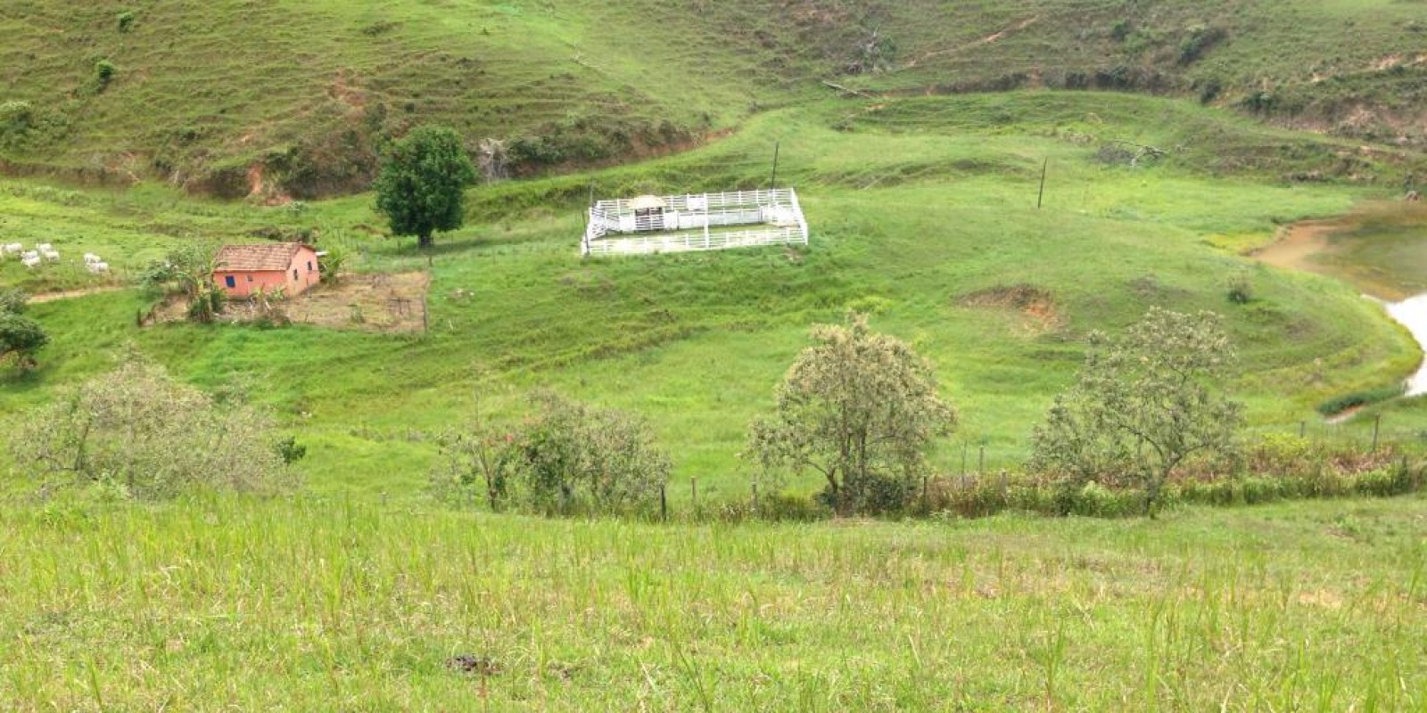 Fazenda com 22 alqueires - Foto 7 de 16